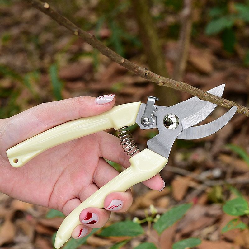 Gardening Tools Usa - Tesoura de Poda para Jardim que