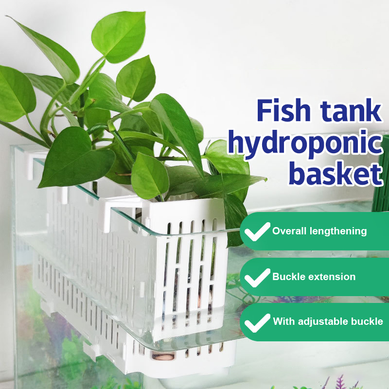 Hanging Planter Basket - 【F】Suporte Suspenso para Plantas Aquáticas em