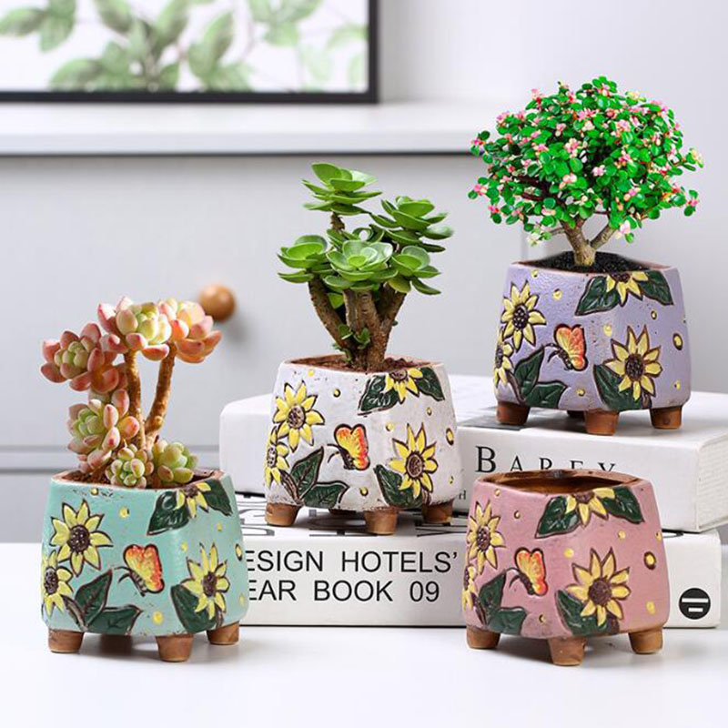 Vaso de plantas suculentas com - Gardening Tools Cute avaliação e preço