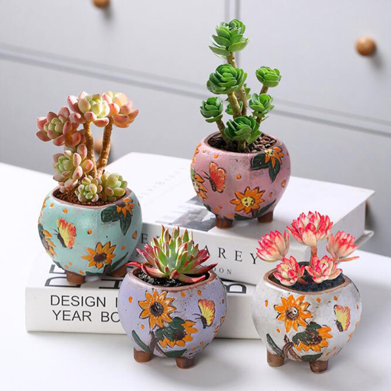 Vaso de plantas suculentas com - Gardening Tools Cute avaliação e preço