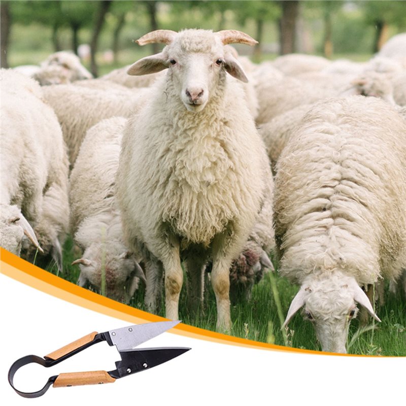【OFERTA RELÂMPAGO】Tesoura de P - Gardening Tools Deals avaliação e preço