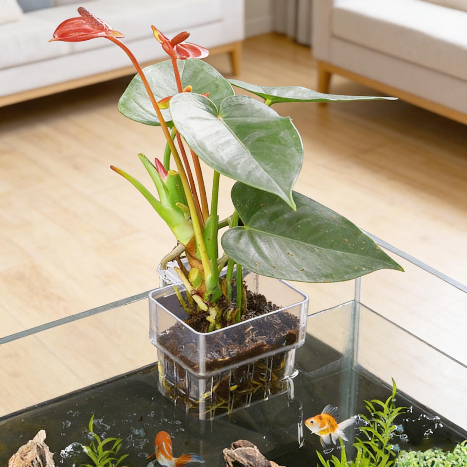 Cesta Transparente para Planta - Hanging Planter Basket avaliação e preço
