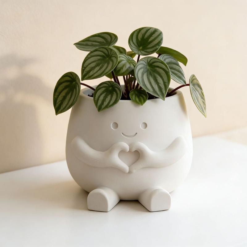 Vaso de Flores em Forma de Cab - Gardening Tools Cute avaliação e preço