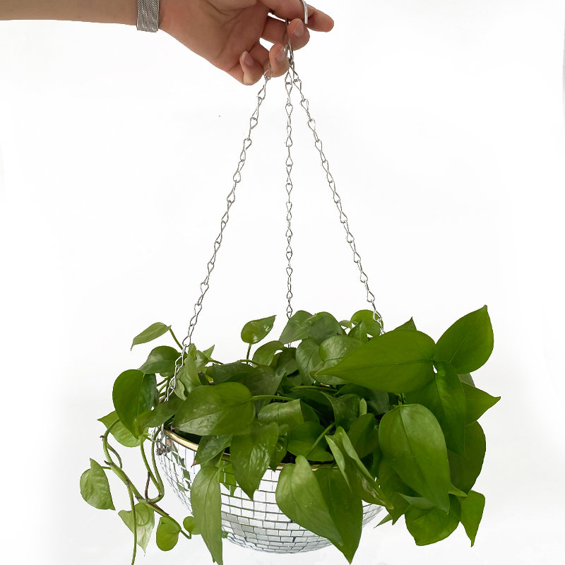Cesto de Plantas Suspenso em F - Hanging Planter Basket avaliação e preço