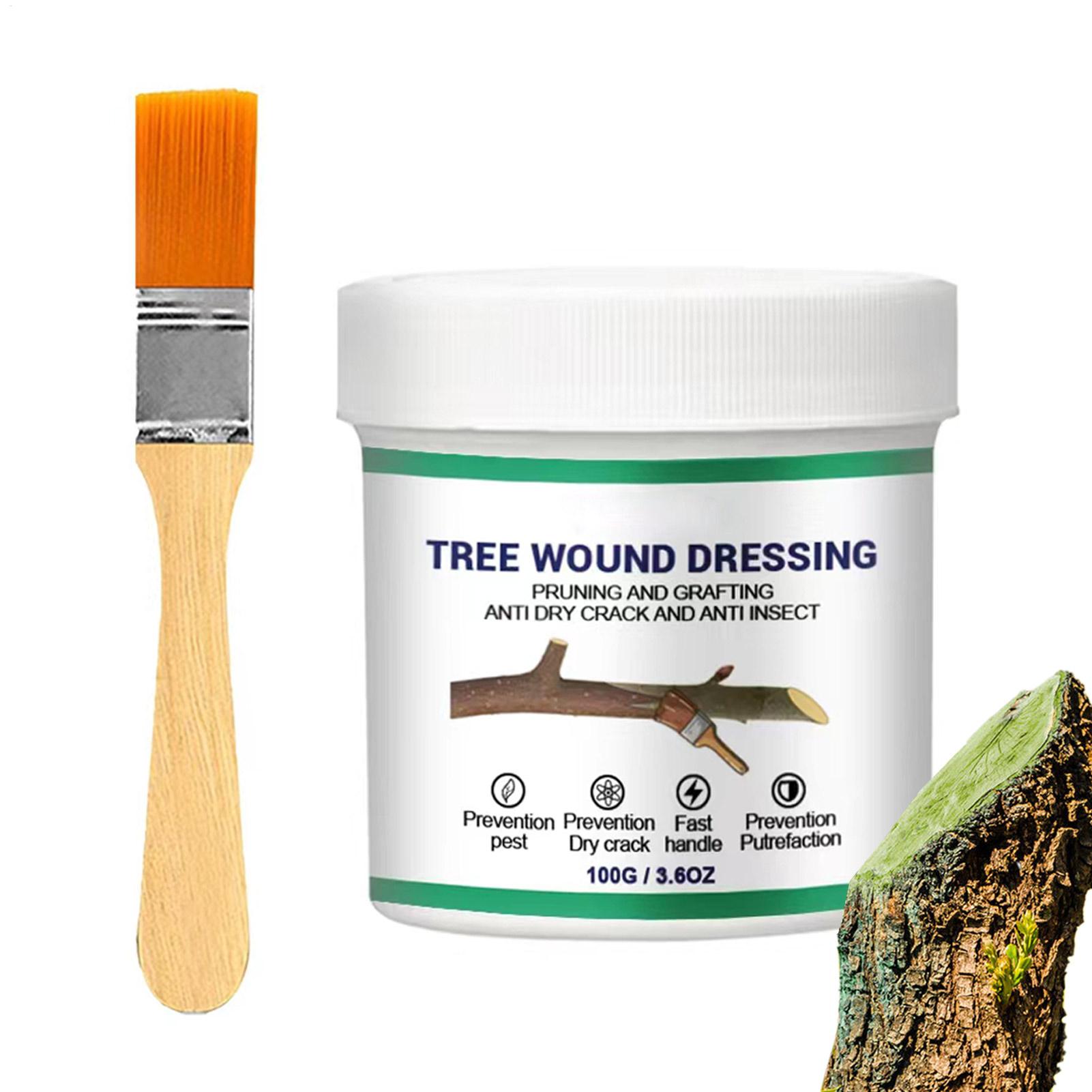 Pasta para Enxertia de Árvores - Gardening Tools Repair avaliação e preço