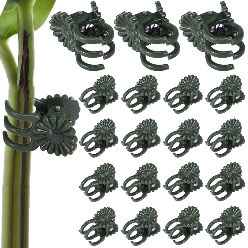 Plant Clips para Enxerto, Vine - Gardening Tools Usa avaliação e preço